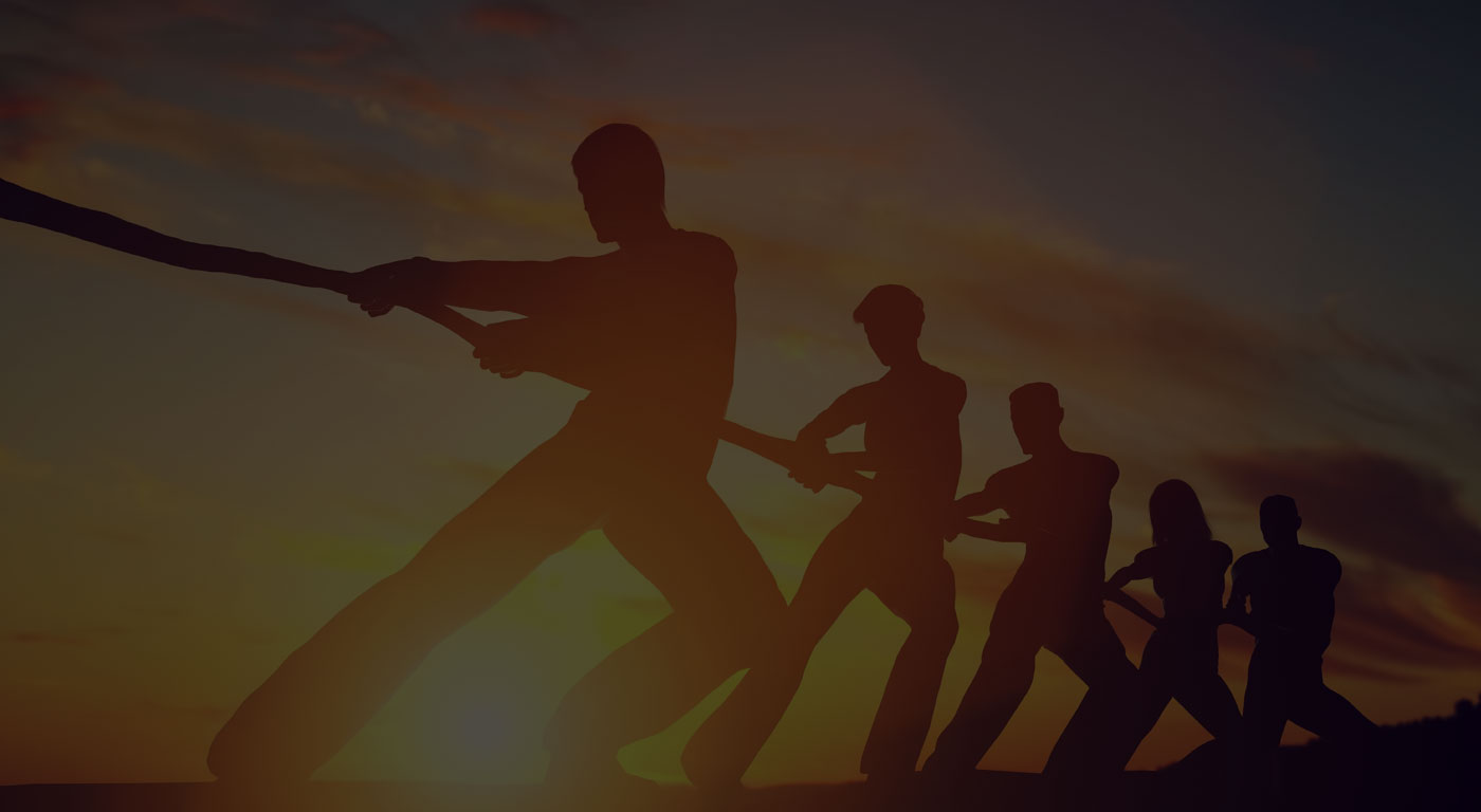 As part of your team, we meet business and economic challenges together.
Find out more here
