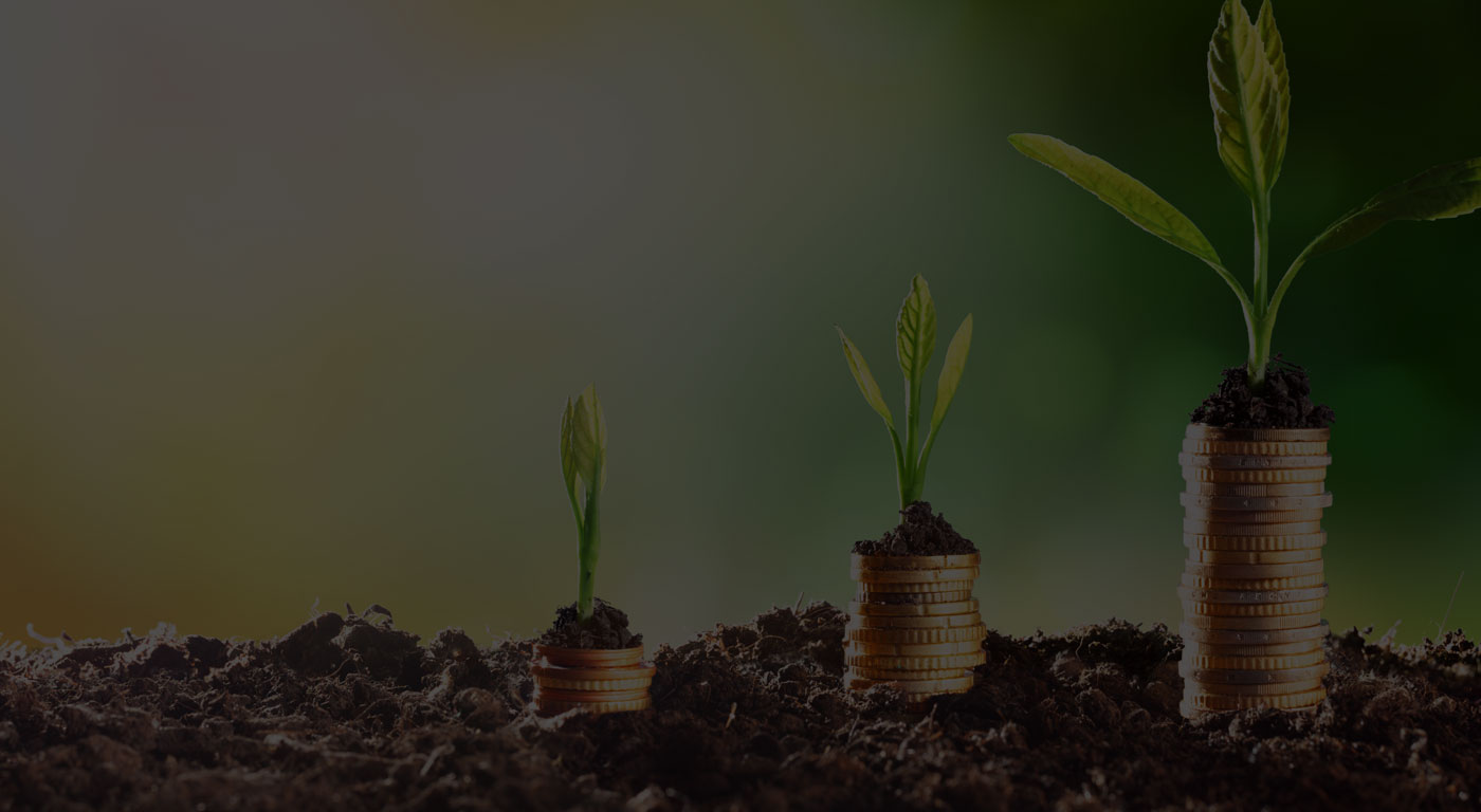 Helping your business realise greater growth, profitability and wealth.
Find out more here
